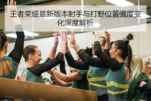 王者荣耀最新版本射手与打野位置强度变化深度解析